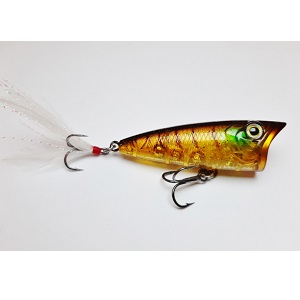Top Water Baits
