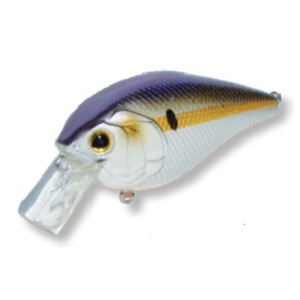 Pro Bass Crush 50X Live Gizzard Shad