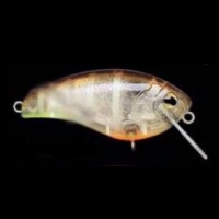 Zombie Lures Z'Coffin 50CF Sunshine Gill